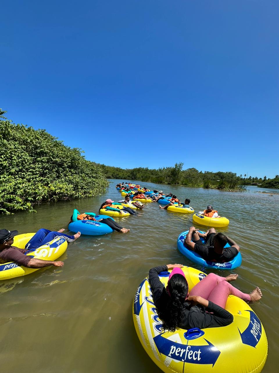 Trilha Flutuante Lagoa de Jequiá